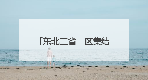 东北三省一区集结“揽才” 逾八千海内外博士奔赴而来