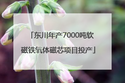 东川年产7000吨软磁铁氧体磁芯项目投产