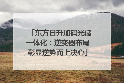 东方日升加码光储一体化：逆变器布局彰显逆势而上决心
