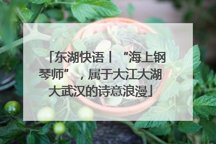 东湖快语丨“海上钢琴师”，属于大江大湖大武汉的诗意浪漫