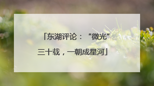 东湖评论：“微光”三十载，一朝成星河