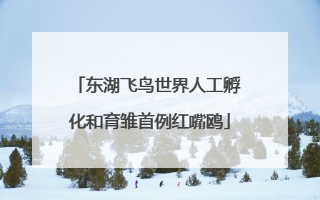 东湖飞鸟世界人工孵化和育雏首例红嘴鸥