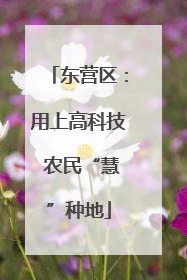 东营区：用上高科技 农民“慧”种地
