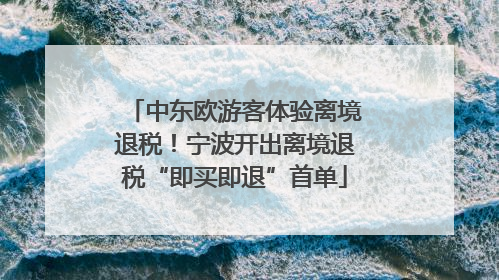 中东欧游客体验离境退税！宁波开出离境退税“即买即退”首单