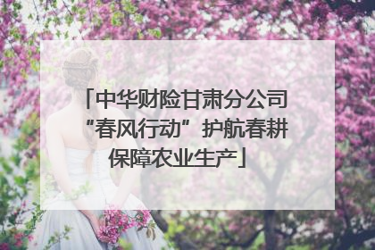 中华财险甘肃分公司“春风行动”护航春耕 保障农业生产