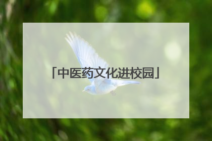 中医药文化进校园