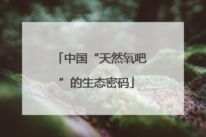 中国“天然氧吧”的生态密码