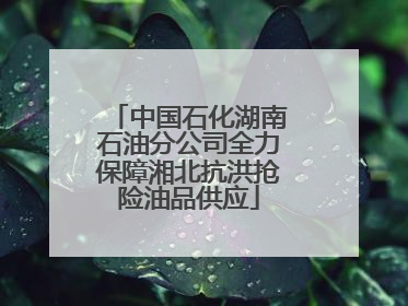 中国石化湖南石油分公司全力保障湘北抗洪抢险油品供应