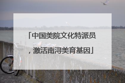 中国美院文化特派员，激活南浔美育基因
