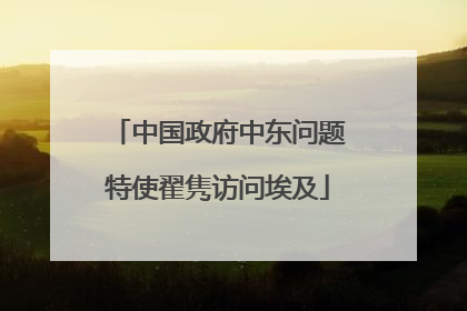 中国政府中东问题特使翟隽访问埃及