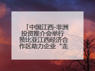 中国江西-非洲投资推介会举行 赞比亚江西经济合作区助力企业“走出去”