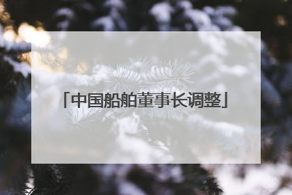 中国船舶董事长调整