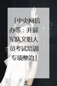 中央网信办等：开展军队文职人员考试培训专项整治