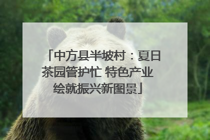 中方县半坡村：夏日茶园管护忙 特色产业绘就振兴新图景