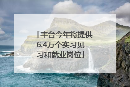 丰台今年将提供6.4万个实习见习和就业岗位