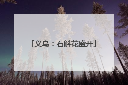 义乌：石斛花盛开