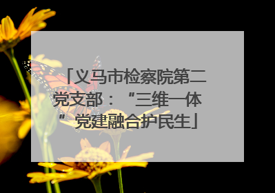 义马市检察院第二党支部：“三维一体”党建融合护民生