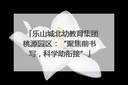 乐山城北幼教育集团桃源园区：“聚焦前书写，科学助衔接”