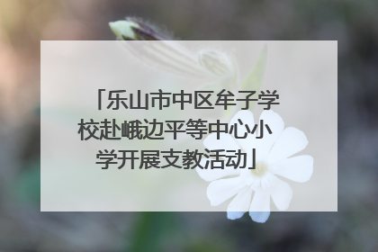 乐山市中区牟子学校赴峨边平等中心小学开展支教活动
