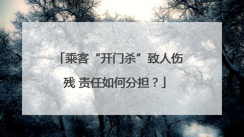 乘客“开门杀”致人伤残 责任如何分担？
