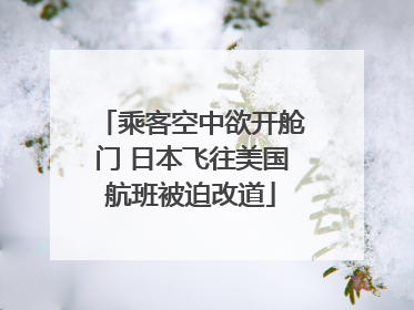乘客空中欲开舱门 日本飞往美国航班被迫改道