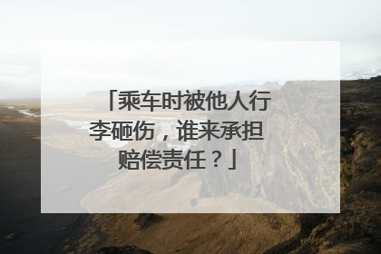 乘车时被他人行李砸伤，谁来承担赔偿责任？