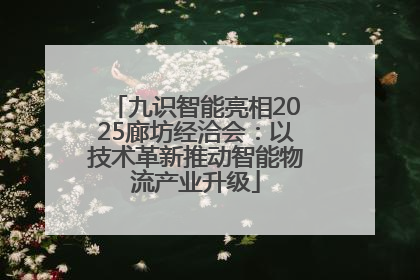 九识智能亮相2025廊坊经洽会：以技术革新推动智能物流产业升级