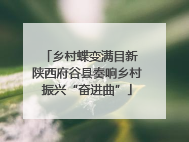 乡村蝶变满目新 陕西府谷县奏响乡村振兴“奋进曲”