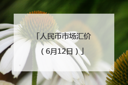 人民币市场汇价（6月12日）