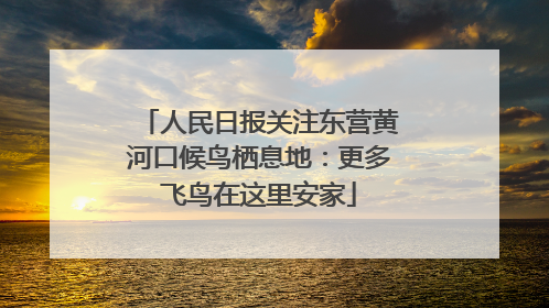 人民日报关注东营黄河口候鸟栖息地：更多飞鸟在这里安家