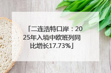 二连浩特口岸：2025年入境中欧班列同比增长17.73%