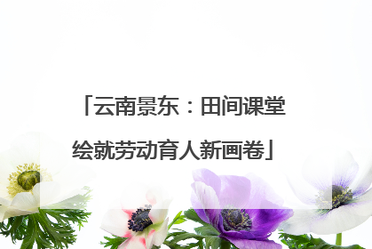 云南景东：田间课堂绘就劳动育人新画卷