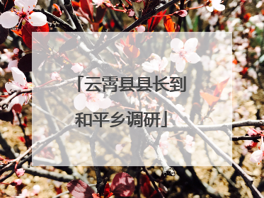 云霄县县长到和平乡调研