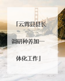 云霄县县长调研种养加一体化工作