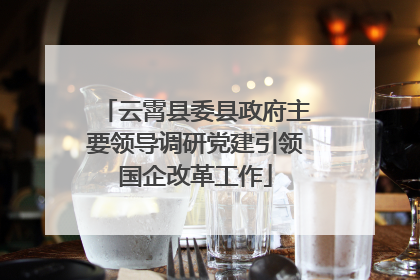 云霄县委县政府主要领导调研党建引领国企改革工作