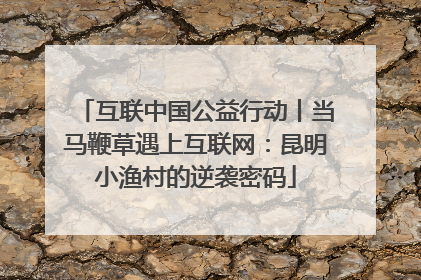 互联中国公益行动丨当马鞭草遇上互联网：昆明小渔村的逆袭密码
