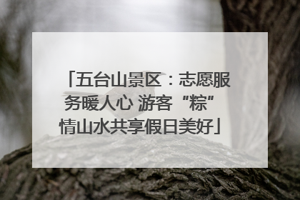 五台山景区：志愿服务暖人心 游客“粽”情山水共享假日美好