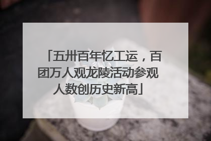 五卅百年忆工运，百团万人观龙陵活动参观人数创历史新高