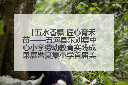 五水香飘 匠心育禾苗——五河县东刘集中心小学劳动教育实践成果展暨夏集小学首届美食节盛大举行