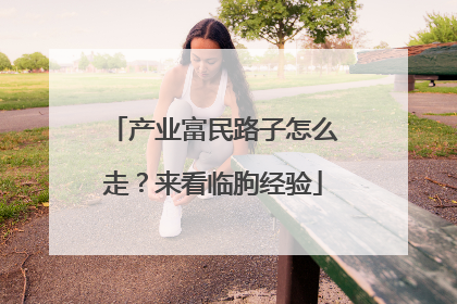 产业富民路子怎么走？来看临朐经验