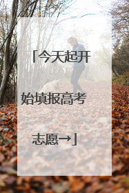 今天起开始填报高考志愿→