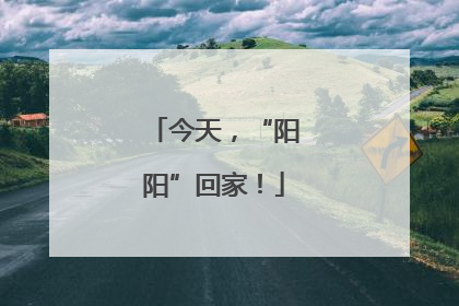 今天，“阳阳”回家！