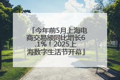 今年前5月上海电商交易额同比增长6.1%！2025上海数字生活节开幕
