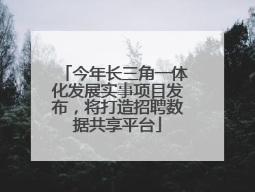 今年长三角一体化发展实事项目发布，将打造招聘数据共享平台