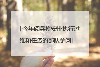 今年阅兵将安排执行过维和任务的部队参阅