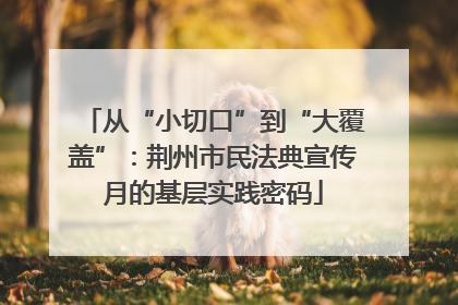 从“小切口”到“大覆盖”：荆州市民法典宣传月的基层实践密码