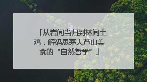 从岩间当归到林间土鸡，解码思茅大芦山美食的“自然哲学”