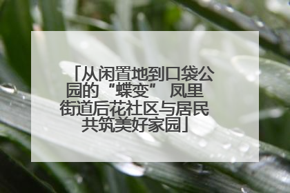 从闲置地到口袋公园的“蝶变” 凤里街道后花社区与居民共筑美好家园