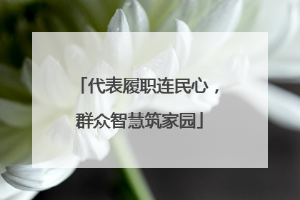 代表履职连民心，群众智慧筑家园