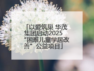 以爱筑巢 华茂集团启动2025“困难儿童学居改善”公益项目